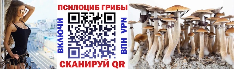 Псилоцибиновые грибы мухоморы  купить наркотики сайты  Туран 